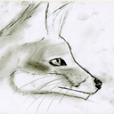 gallifreyangoth avatar