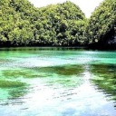 gallifreyfallsnomorre avatar