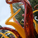 gallifreyghost avatar