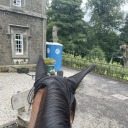 gallifreyrises avatar