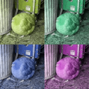 gallinacantora avatar