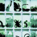 gallowedhalls avatar