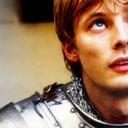 game-of-boners-and-alphas avatar