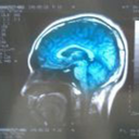 gamelanrocker avatar