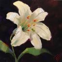 gamer-purgatory avatar