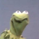 gamingdolphin avatar