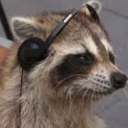 gamingracoon avatar