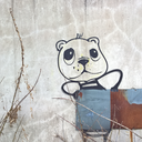 gamma-pozitron avatar