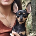 gamsizbaykuss avatar