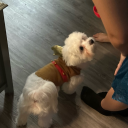 gangle-notrealgangle avatar