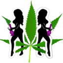 ganjagirlsllc-blog avatar