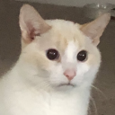 ganymedeshouse avatar