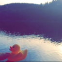 ganzschoenokayfss avatar