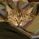 gaparoonie-blog avatar