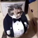 garbag-muncher-weeeee avatar