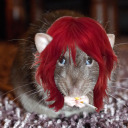 garbage0rat avatar