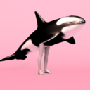 garbus-vakarbus avatar