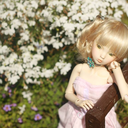 garden-of-doll avatar