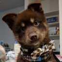 garden-of-everything avatar