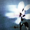 garden-of-runar avatar