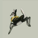 garden-of-stars avatar