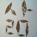 garden19897419 avatar