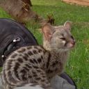 gardenofeden5457 avatar