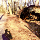 gardenstateetheric avatar