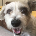 gardenstateofmind avatar