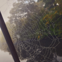 gardenwitchofthenorth avatar