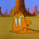garf17 avatar