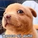 garfieldhastoeat avatar