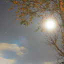 gargoylegrimoire avatar