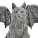 gargoylekitten avatar