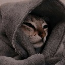 garibimsibiri avatar