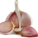 garlic-bulbs-5000 avatar