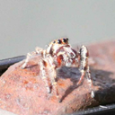 garlic-pasta-yall-blog avatar