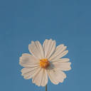 gasp-for-ulliel avatar