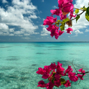 gastricbypassjourney-blog avatar