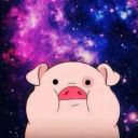 gatinho-voador avatar