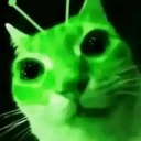 gatitobananaaw avatar