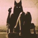 gato-muy-michifus avatar