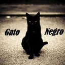 gato-negro-nocturno avatar