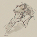 gatonaranja16 avatar