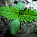 gatoxico-blog avatar