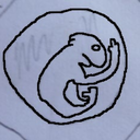 gattogiacobbe avatar