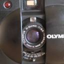 gattorosso620 avatar