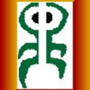 gaub-therapie avatar