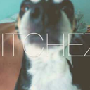 gavrilovaanastasia avatar