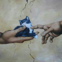 gavynelderson avatar